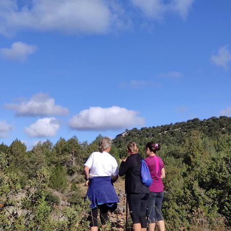 Casa Rural Sierra Del Solorio Iruecha 外观 照片