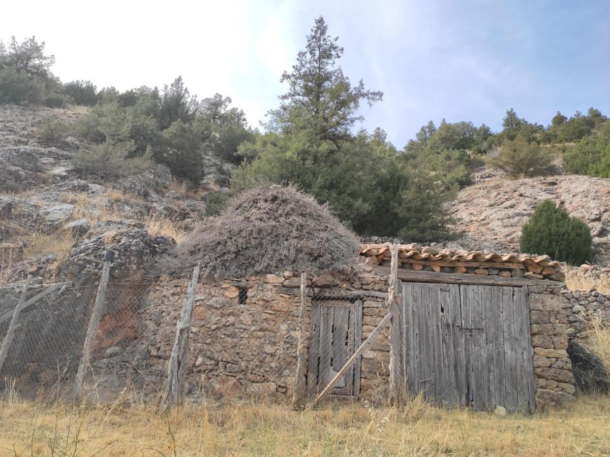 Casa Rural Sierra Del Solorio Iruecha 外观 照片